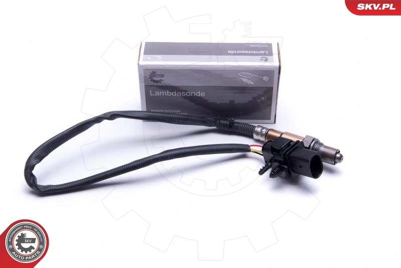 Oxygen Sensor